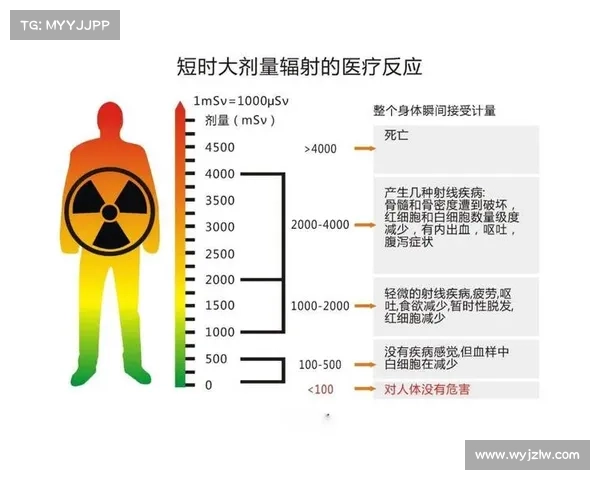 放射治疗:以患者为中心的辐射防护方法 放射治疗:以患者为中心的辐射防护方法