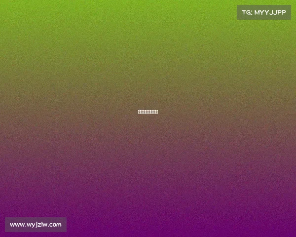 滇西电子科技大学